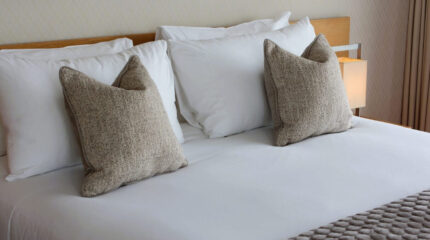 Elegant hotel room with plush pillows and crisp white linens at Louis Fitzgerald Hotel.
