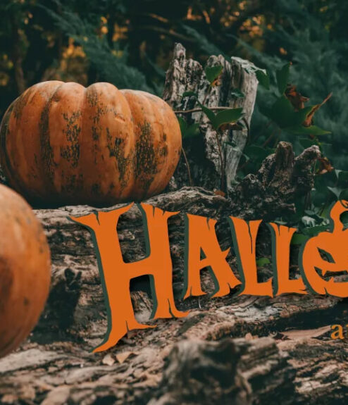 Pumpkins on rustic logs with "Halloween at Luggwoods" text in a forest setting.