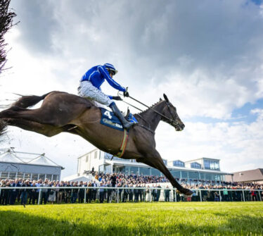 A horse and rider in a blue outfit leap a hedge at a crowded racecourse under a blue sky.