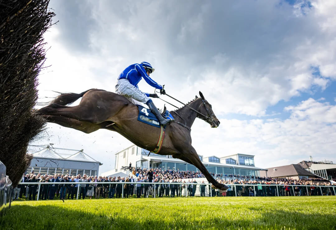 5 Reasons to Stay in the Louis Fitzgerald Hotel for the Punchestown Festival