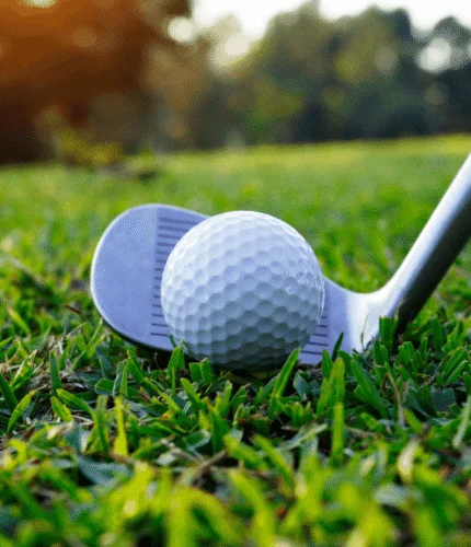 Golf club and ball on lush green grass