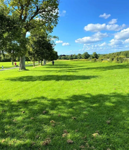 Sunny Dublin parkland with families and walkers on a tree-lined path, lush green lawn under blue sky (visible text: none)
