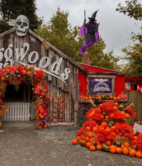Autumnal festival entrance decorated with pumpkins, orange flowers, a witch figure and skeletons at Luggwoods (seasonal display)